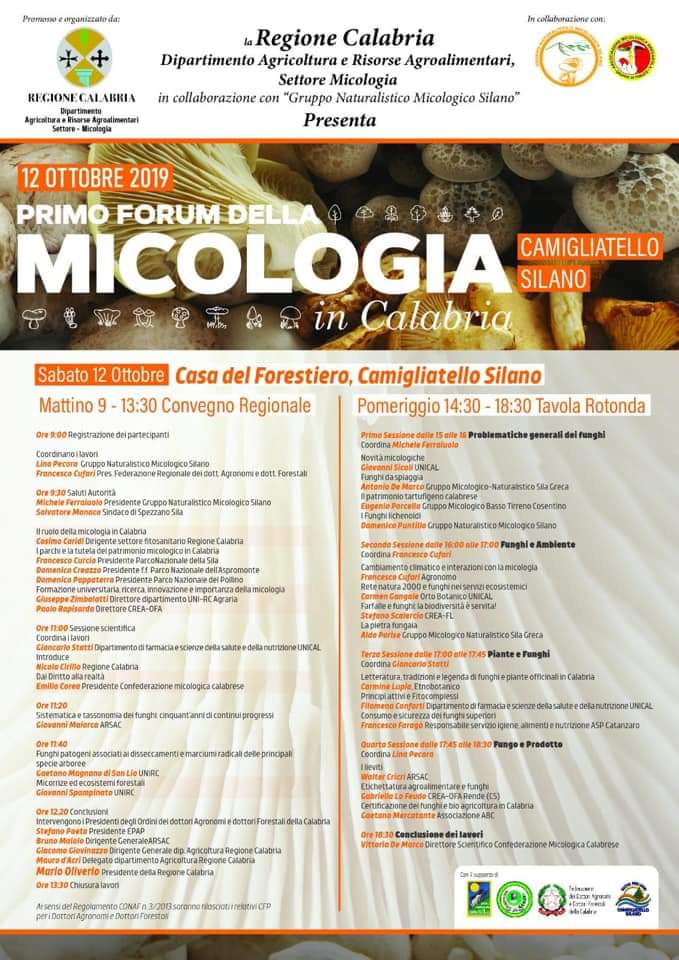 micologia1